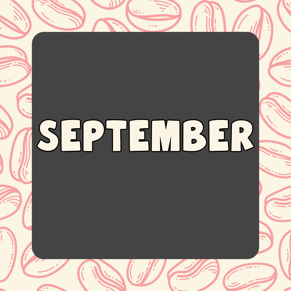 september junk box